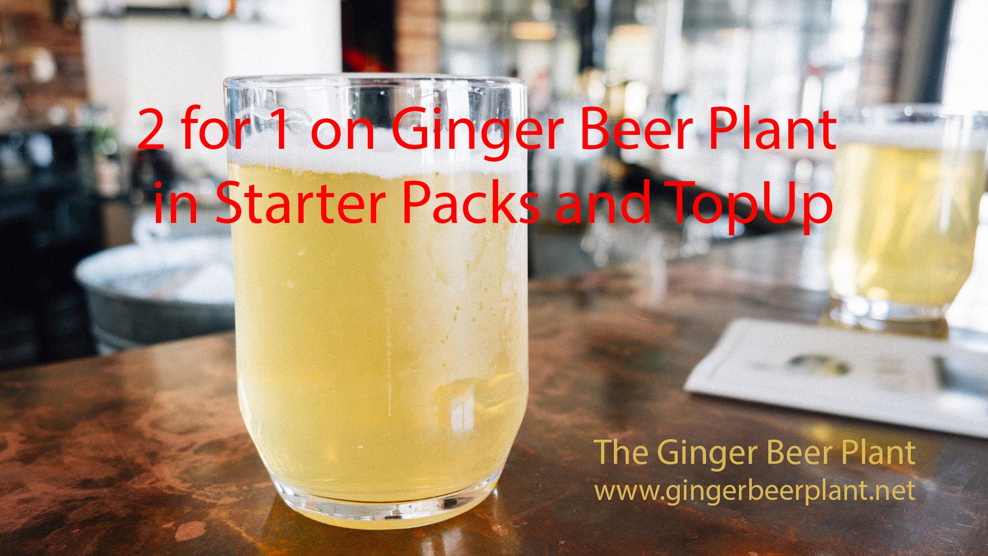 The Ginger Beer Home